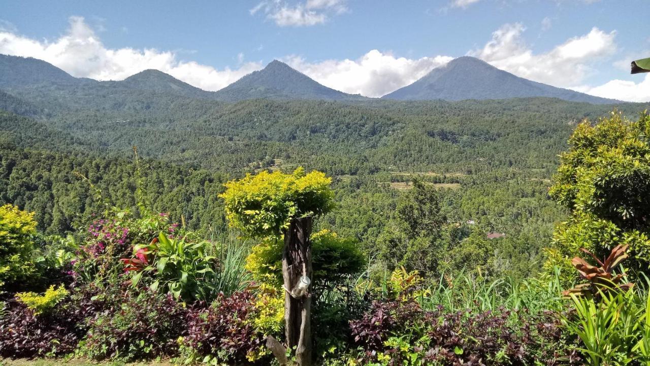 Made Oka Homestay And Warung موندوغْ المظهر الخارجي الصورة
