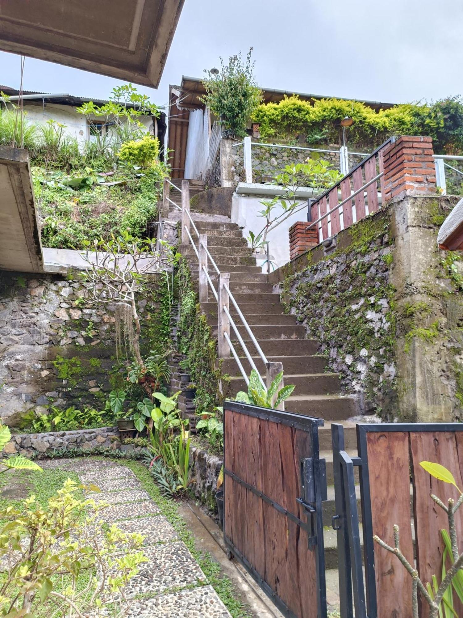 Made Oka Homestay And Warung موندوغْ المظهر الخارجي الصورة